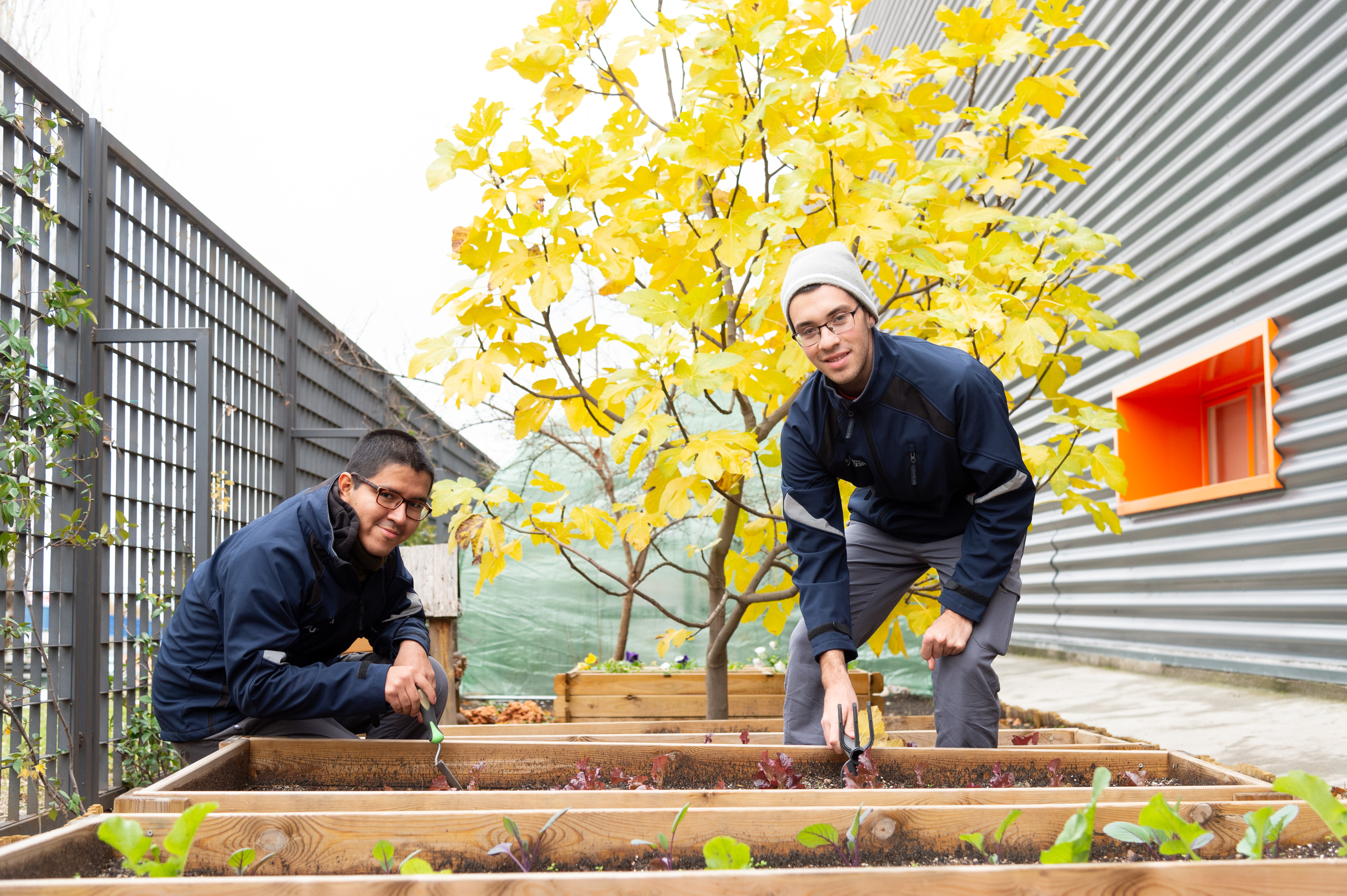 Actividades Auxiliares en viveros, jardines y centros de jardinería