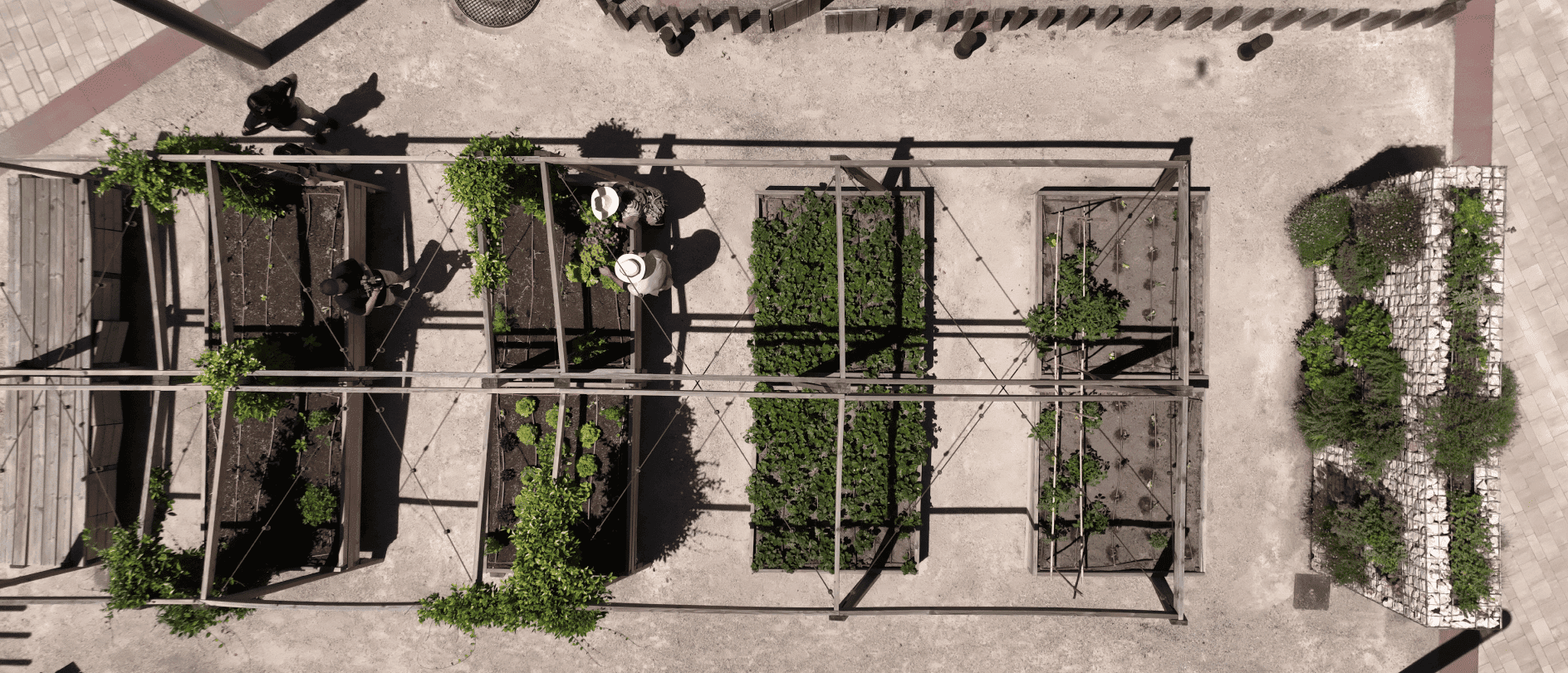 ¿Cuál es el impacto ambiental y social de la naturación urbana? Casos de éxito reales